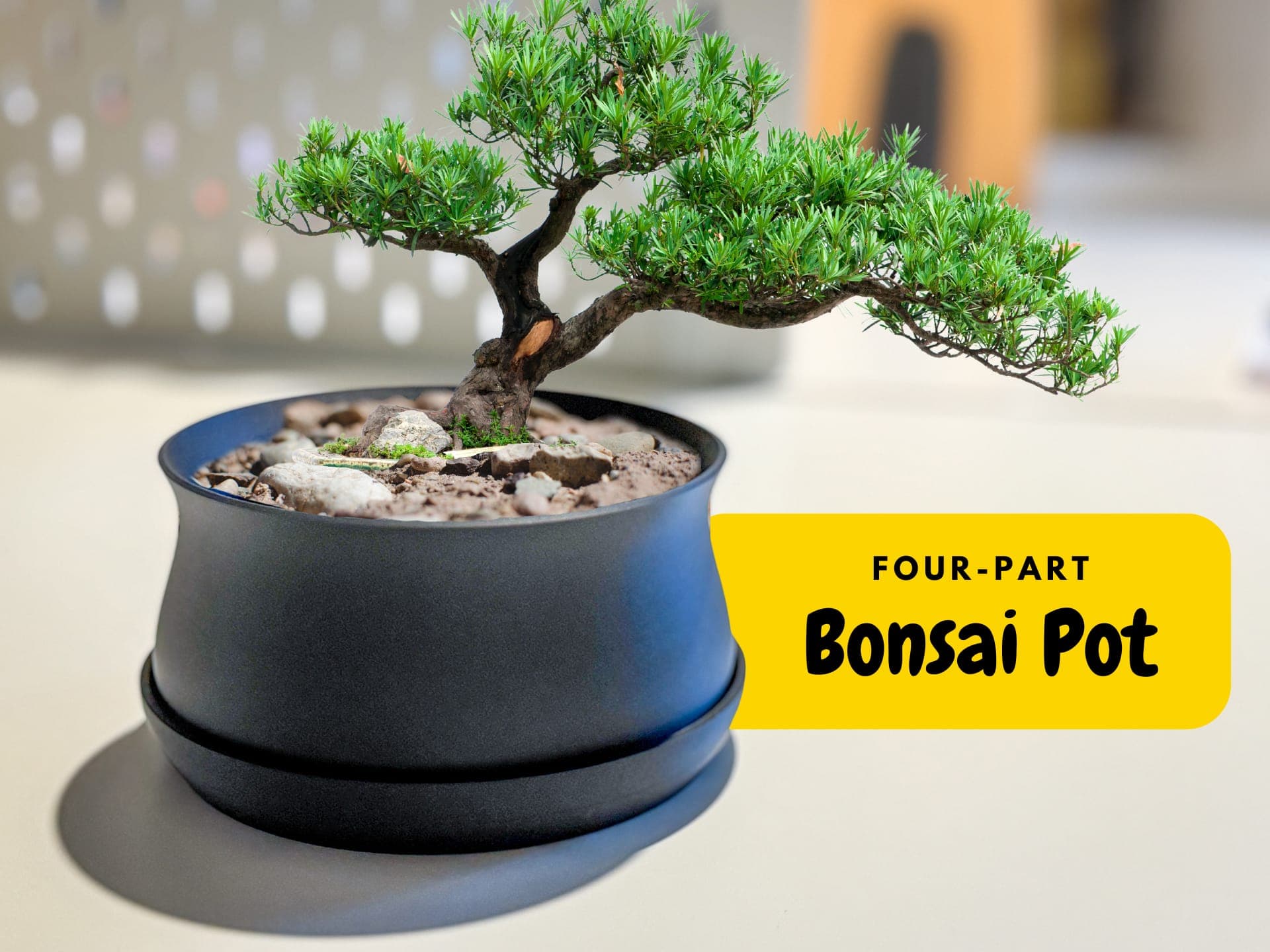Bonsai Pot with Drip Tray
