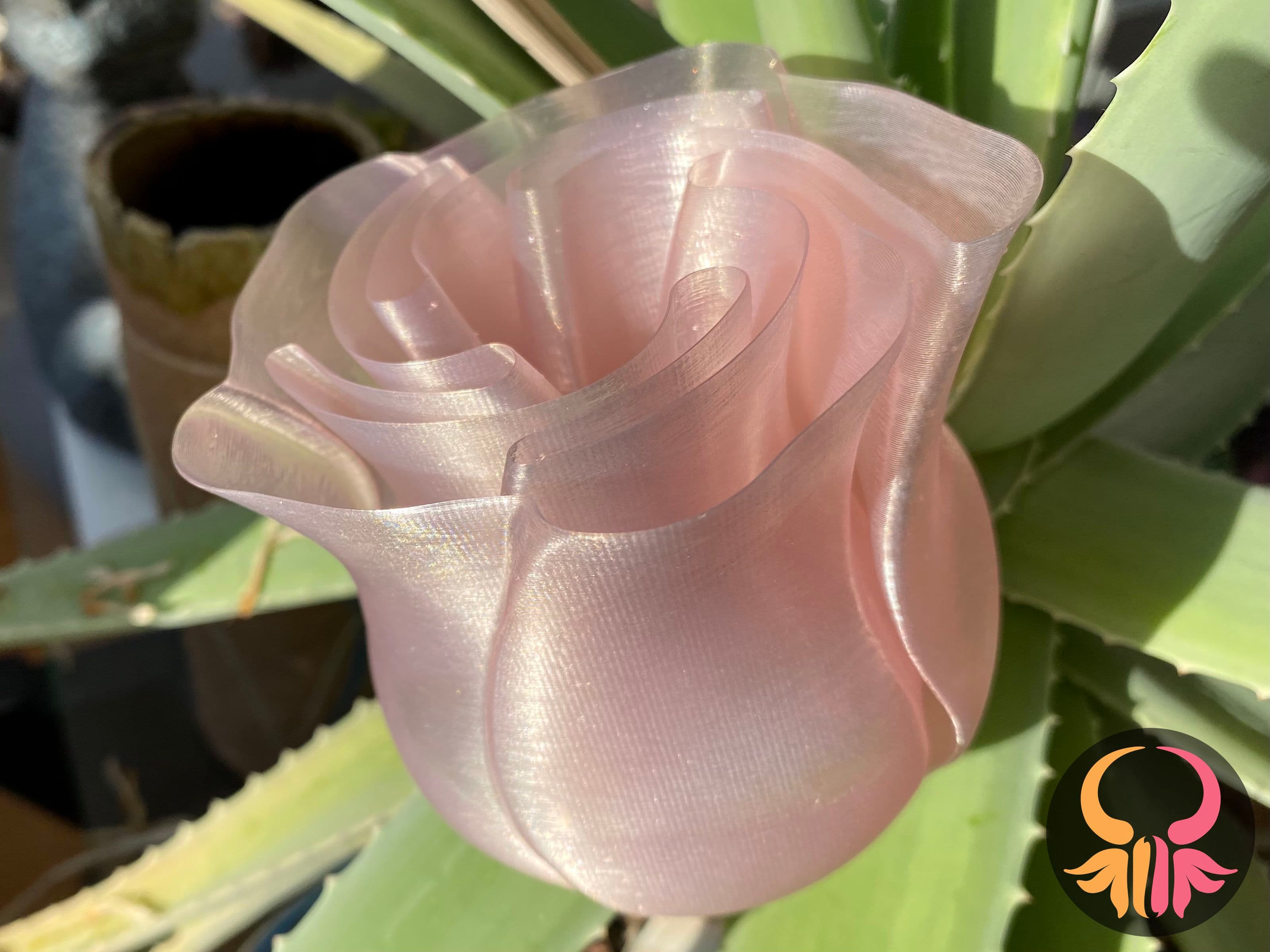 Spiral Rose Vase